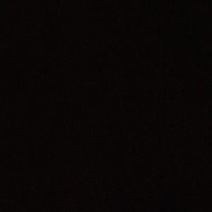 Meet your Posher, Shaneen